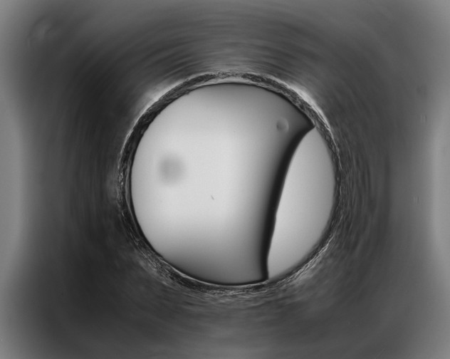 X0000087310879200704200716