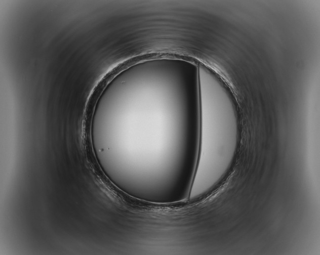 X0000087310880200704200716