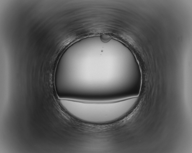 X0000087310881200704200716