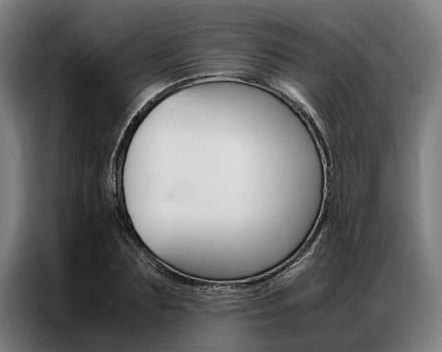 X0000087310883200704200716