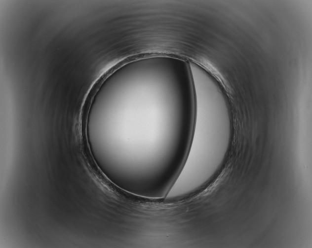 X0000087310884200704200716