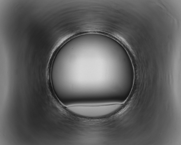 X0000087310885200704200716