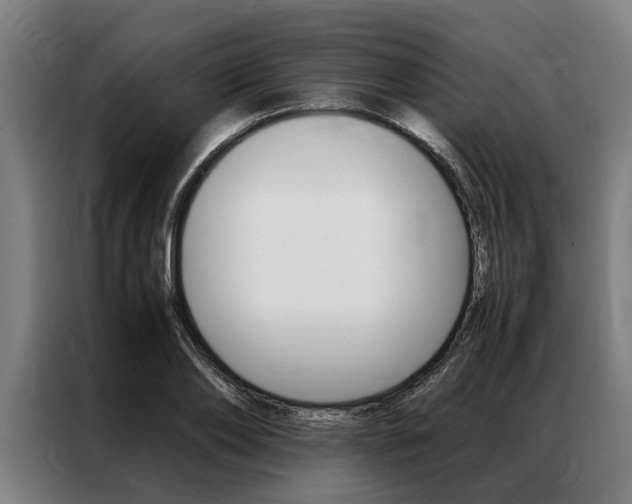 X0000087310886200704200715