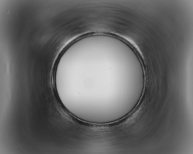 X0000087310887200704200715