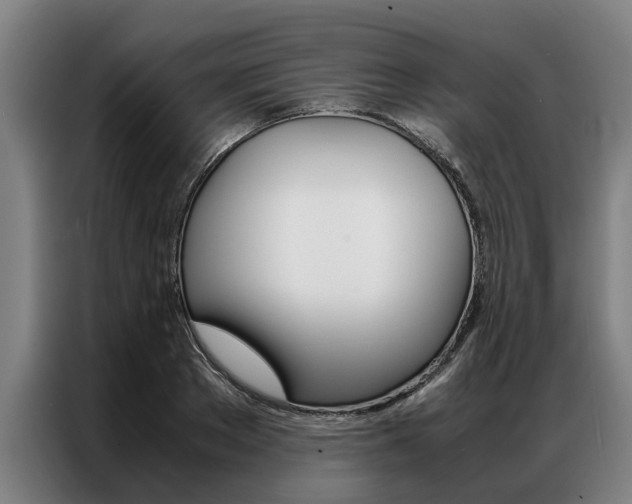 X0000087310889200704200715