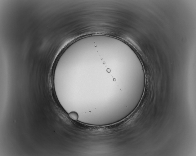 X0000087310891200704200715