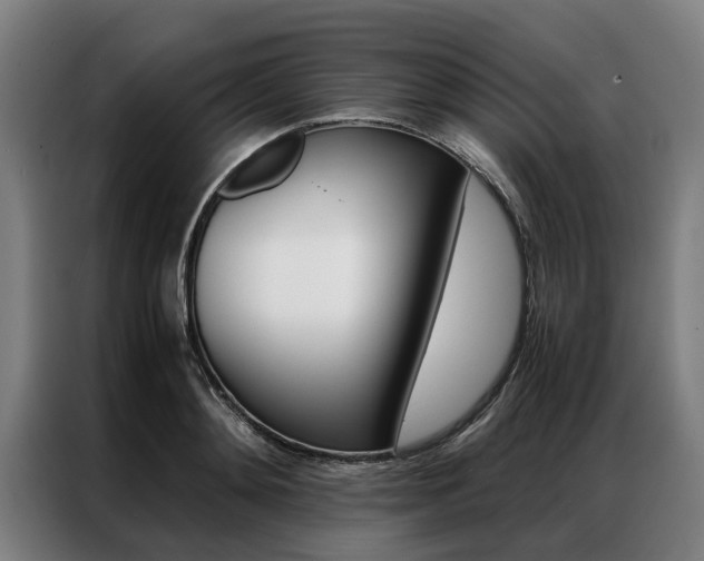X0000087310892200704200715