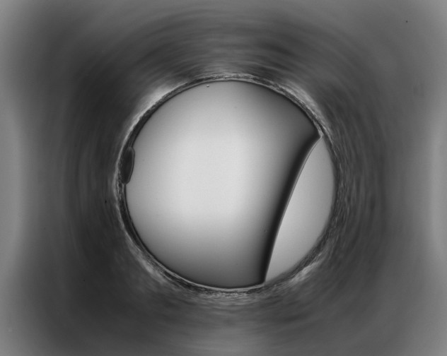 X0000087310893200704200715
