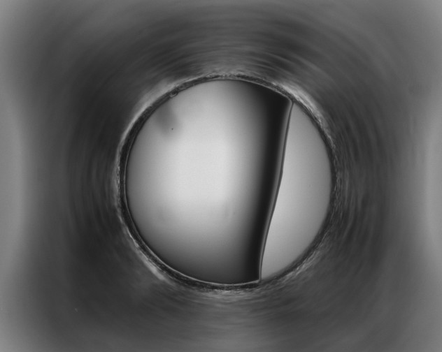 X0000087310894200704200715