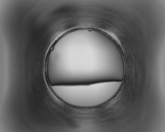 X0000087310895200704200715