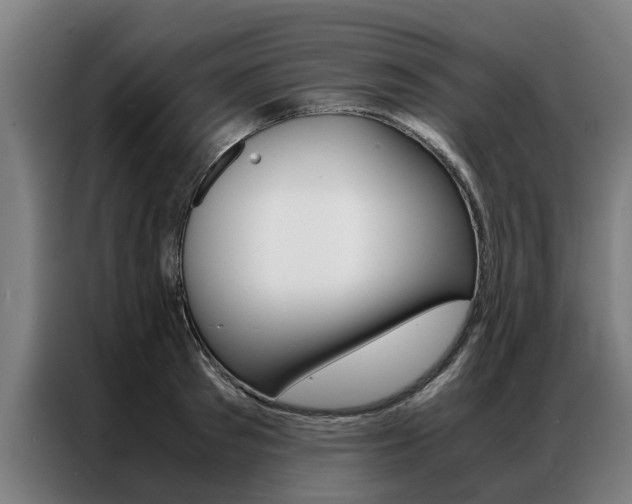 X0000087310897200704200715