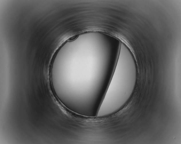 X0000087310898200704200715