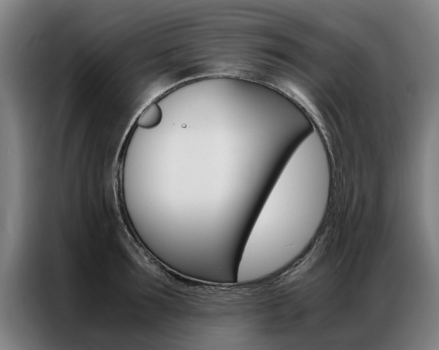 X0000087310899200704200715