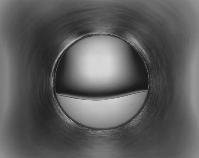 X0000087310900200704200715