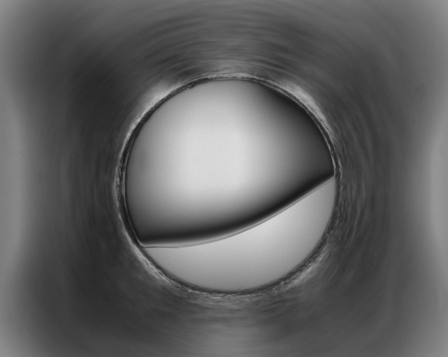X0000087310901200704200715