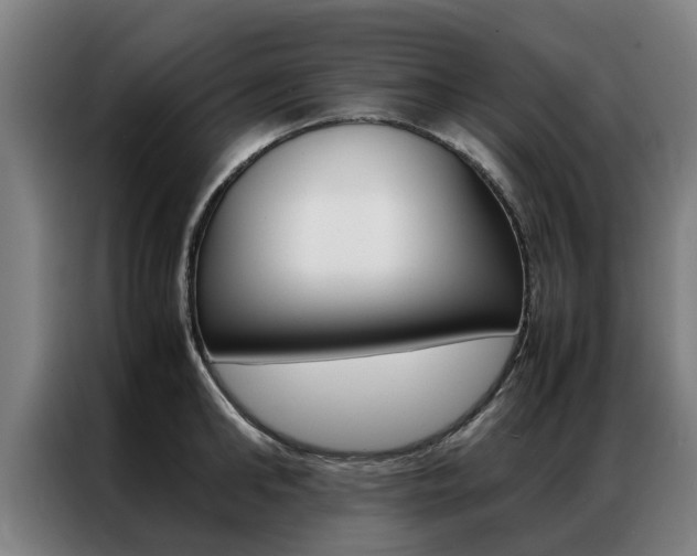 X0000087310902200704200715