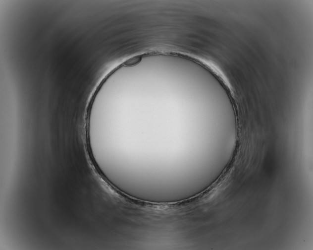 X0000087310903200704200715