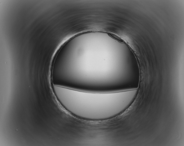X0000087310904200704200715