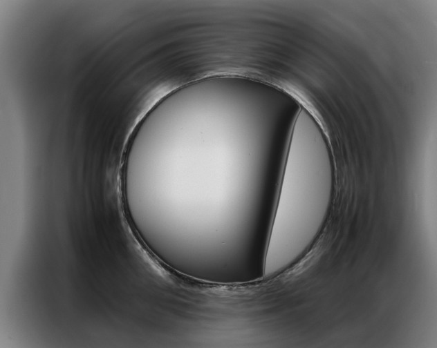 X0000087310906200704200715
