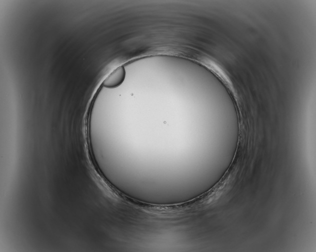 X0000087310907200704200715