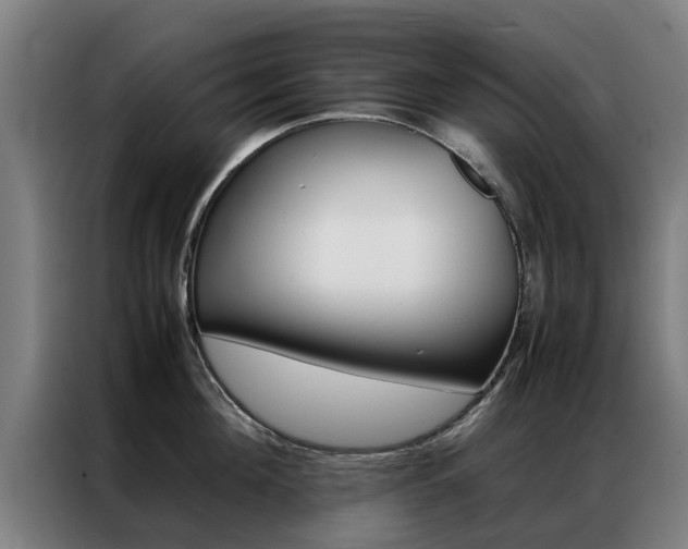 X0000087310908200704200715