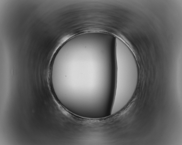 X0000087310909200704200715