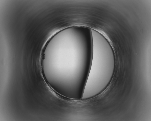 X0000087310910200704200715