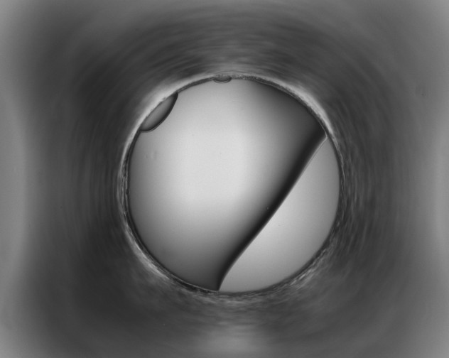 X0000087310911200704200715