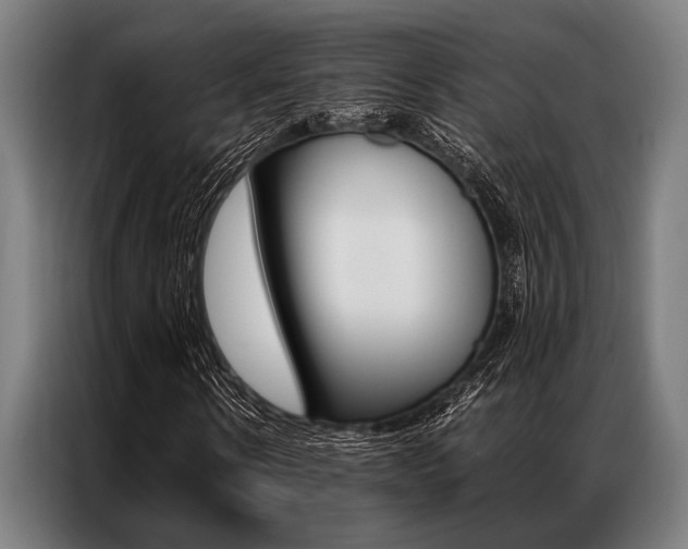 X0000087310914200704200714