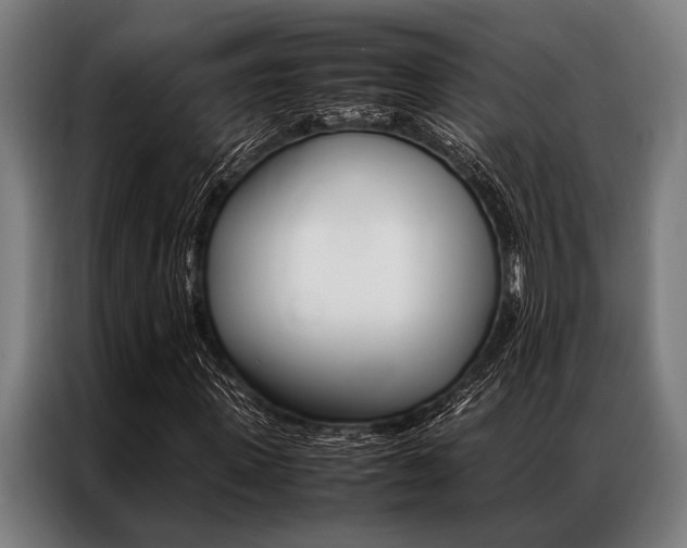 X0000087310915200704200715