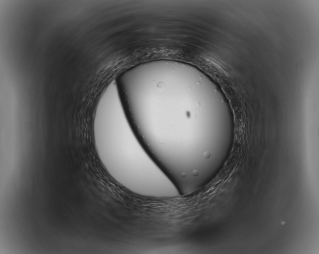 X0000087310917200704200715