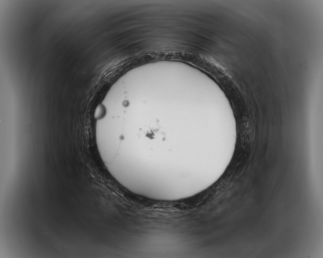 X0000087310918200704200715