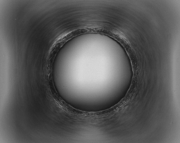 X0000087310920200704200715