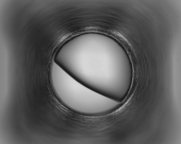 X0000087310921200704200715