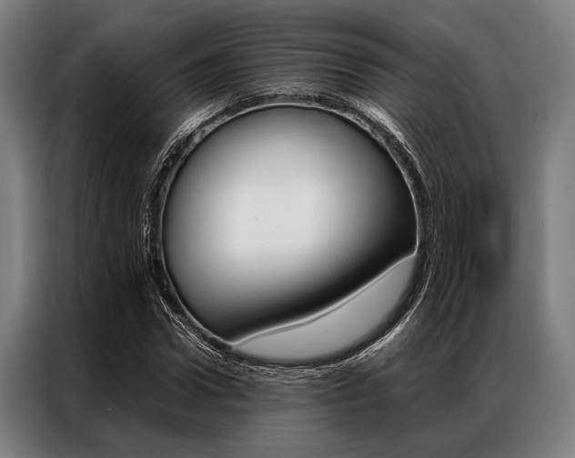 X0000087310922200704200715
