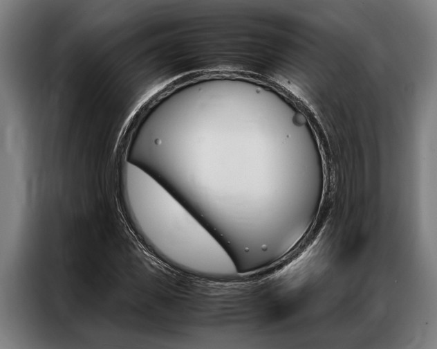 X0000087310925200704200715