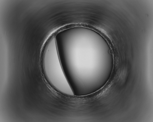 X0000087310927200704200715