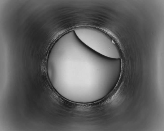X0000087310929200704200715