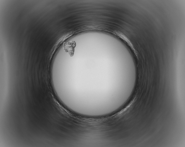 X0000087310930200704200715