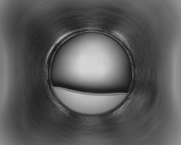 X0000087310931200704200715