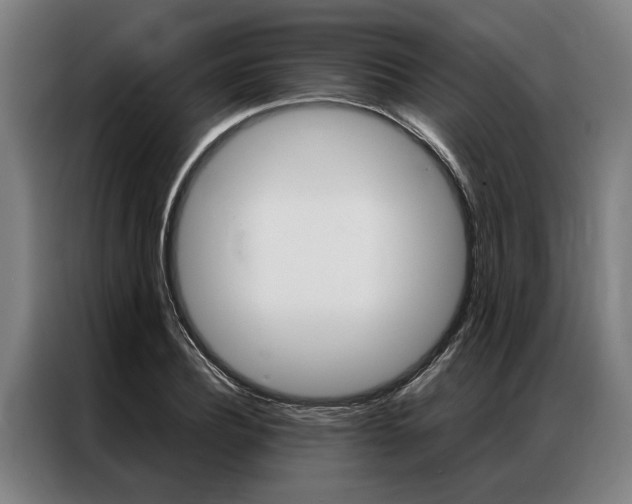 X0000087310932200704200715