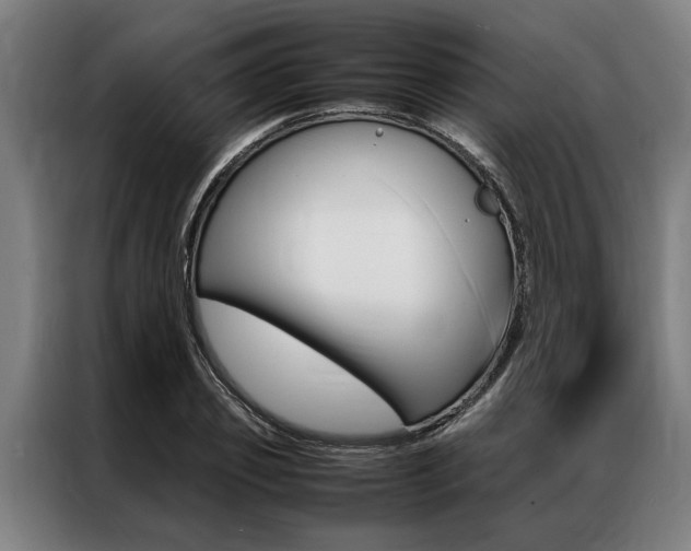X0000087310933200704200715