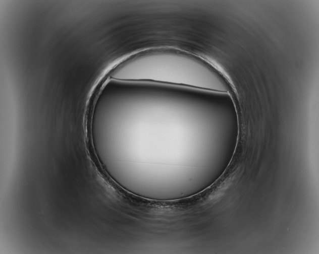 X0000087310935200704200715