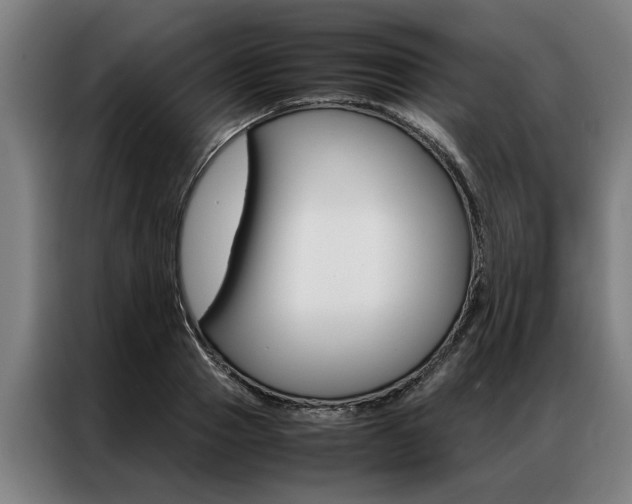 X0000087310937200704200715