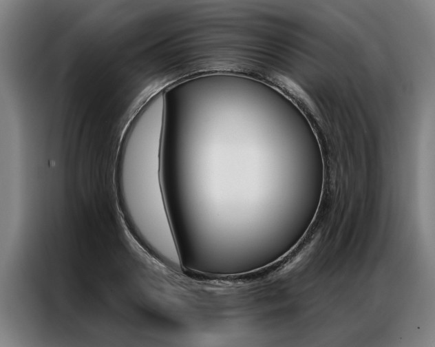 X0000087310938200704200715