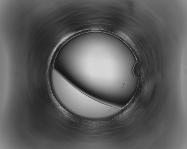 X0000087310939200704200715