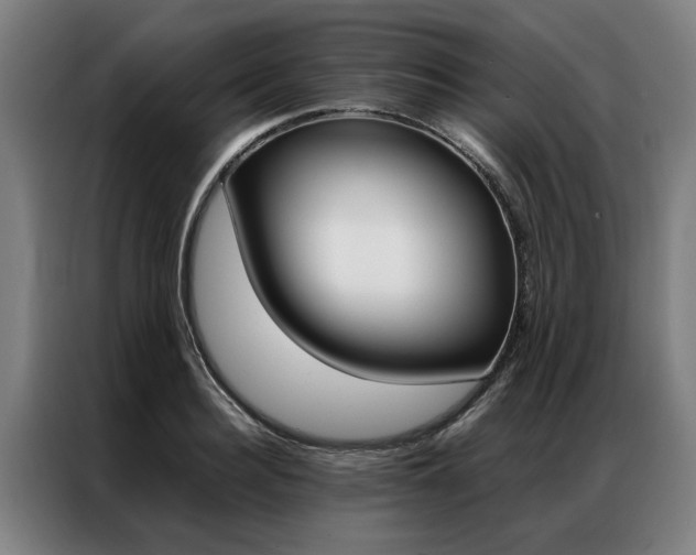 X0000087310940200704200715
