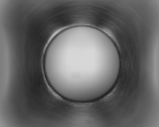 X0000087310942200704200715