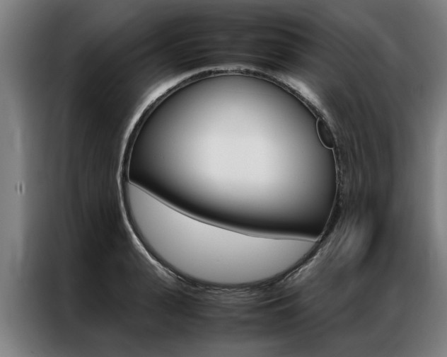 X0000087310943200704200715