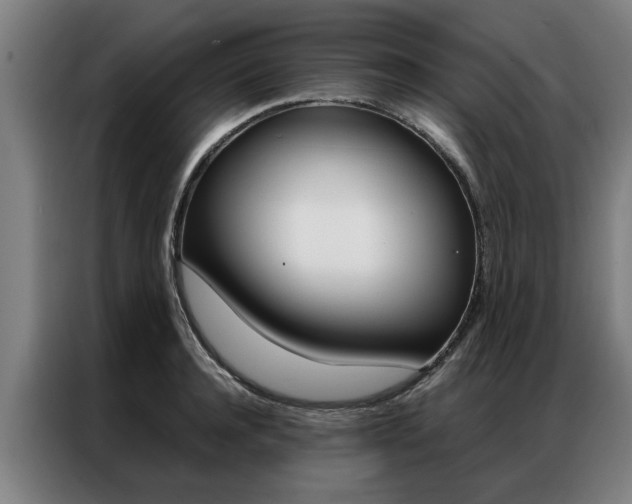 X0000087310944200704200715